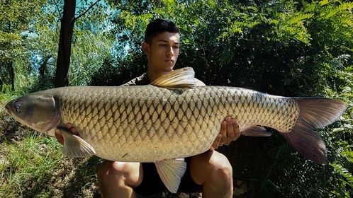 Lacul Varlaam 2020 - 12014273312330574604062808360530931564435127n.jpg